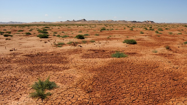 mongolská poušť